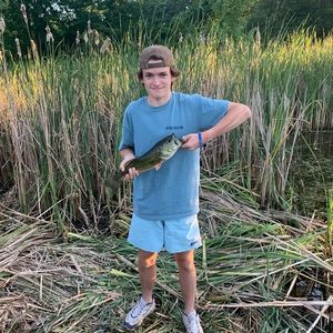 Meet your Posher, Gordon